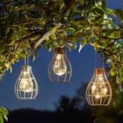 EUREKA FIREFLY - MIXED COLOURS 1080987